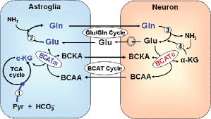 Image result for BCKA