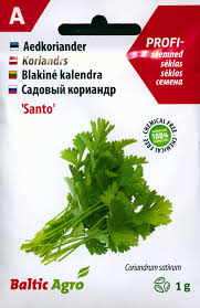 Image result for Koriander