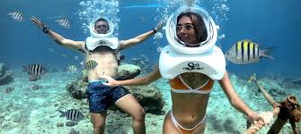 Resultado de imagen para cozumel dive