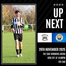 Image result for Sherborne Town Football Club