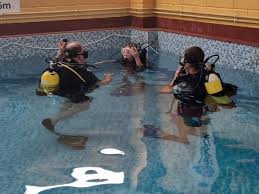 Image result for Diveline