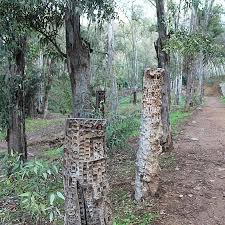 Image result for www.diariosur.es