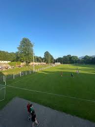 Image result for St Bronagh`s Gaa