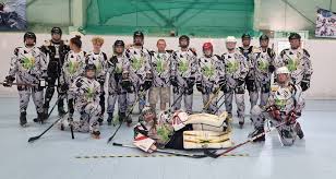 Image result for Godalming In-Line Hockey Club