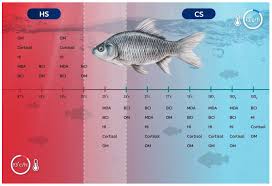 Image result for Squalius vardarensis