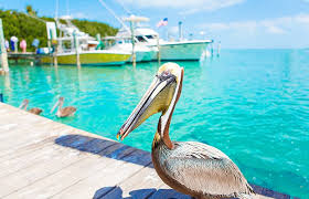 Image result for Keyingham WI*