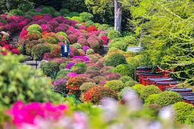 /MANKAI RED ZÖNE에 대한 이미지 검색결과