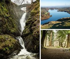 Image result for Bravo 4 Zero, Penrith, Cumbria