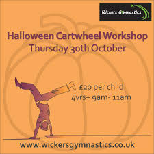 Image result for Wickers Gymnastics Club