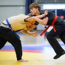 Image result for Windsor WingTsun Kung Fu School