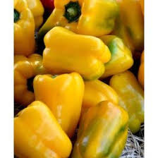 Afbeeldingsresultaat voor topepo giallo sweet pepper