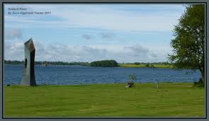 Attēlu rezultāti vaicājumam “Acalitus longisetosus”