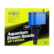 Attēlu rezultāti vaicājumam “Amara sp.”