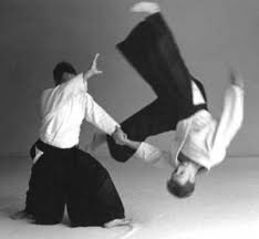 Image result for Bushin Kenpo Kai Schools