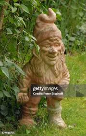 Image result for Gartenzwerg