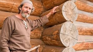 Attēlu rezultāti vaicājumam “Badhamia dubia”