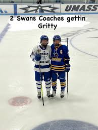Image result for Swan`s Hockey Club