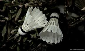 Image result for Cotswold Badminton Club