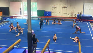 Image result for Haverfordwest Gymnastics Club