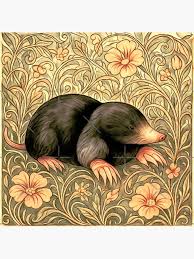 Attēlu rezultāti vaicājumam “Talpa europaea”