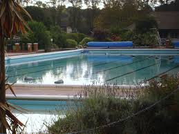 Image result for Hitchin Swimming Club