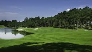 Image result for Blossom Way Sports & Social Club