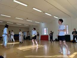 Image result for Imperial College Shorinji Kempo Society