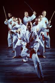 Image result for Silat Perisai Diri Classes Club