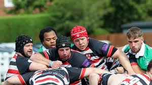 Image result for Novocastrians Rugby Football Club