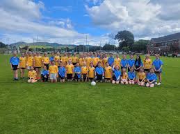 Image result for Mayobridge G A C