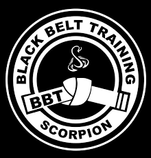 Image result for Scorpion Martial Arts Academy