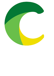 Image result for Challow Netball Club