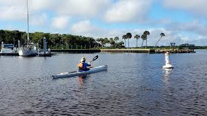 Image result for Paddletastic