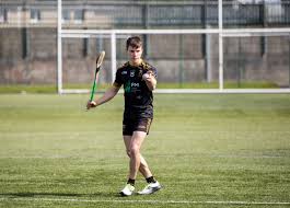 Image result for University Of Limerick Gaa Hurling Club