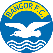 Image result for Bangor City Bowls Club
