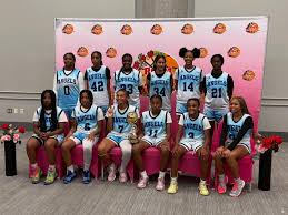 Image result for Haringey Angels Basketball Club