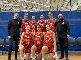 Image result for Thames Valley Tigers Basketball Team