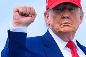 Image result for holtec tehron