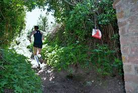 Image result for Harlequins Orienteering Club