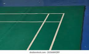 Image result for Greenmeadow Badminton Club