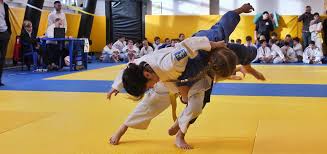 Image result for Arun Southcoast Judo Club.