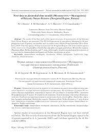 Attēlu rezultāti vaicājumam “Amaurochaete fusiformis spores”