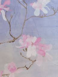 Attēlu rezultāti vaicājumam “Magnolia cylindrica flower”