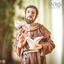 Image result for foto são francisco