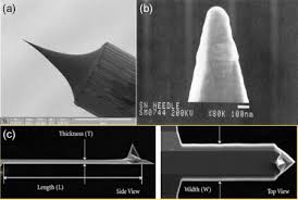 Картинки по запросу ...ЃРёРЅС‚РµР·Р°С‚РѕСЂ
