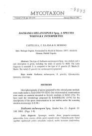 Attēlu rezultāti vaicājumam “Badhamia nitens”