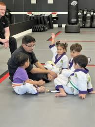 Image result for Championship Martial Arts Winter Springs