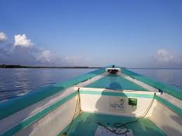 Image result for Tobogo