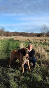 Image result for Saxon Crown (Lewisham) Swimming Club