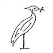 Image result for Alrewas Cricket Club